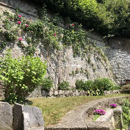 Scurati Brunate