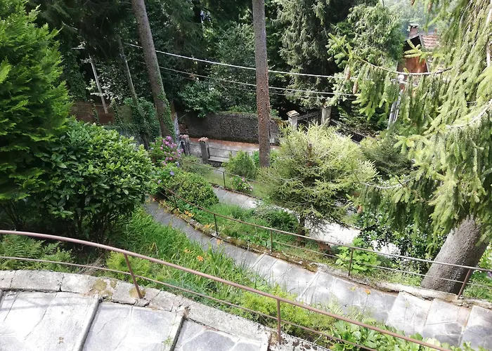 Scurati Brunate
